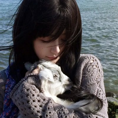 衰落与瓦解 海报